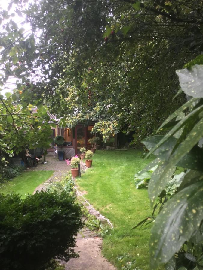 Unique Artists With A Private Garden.