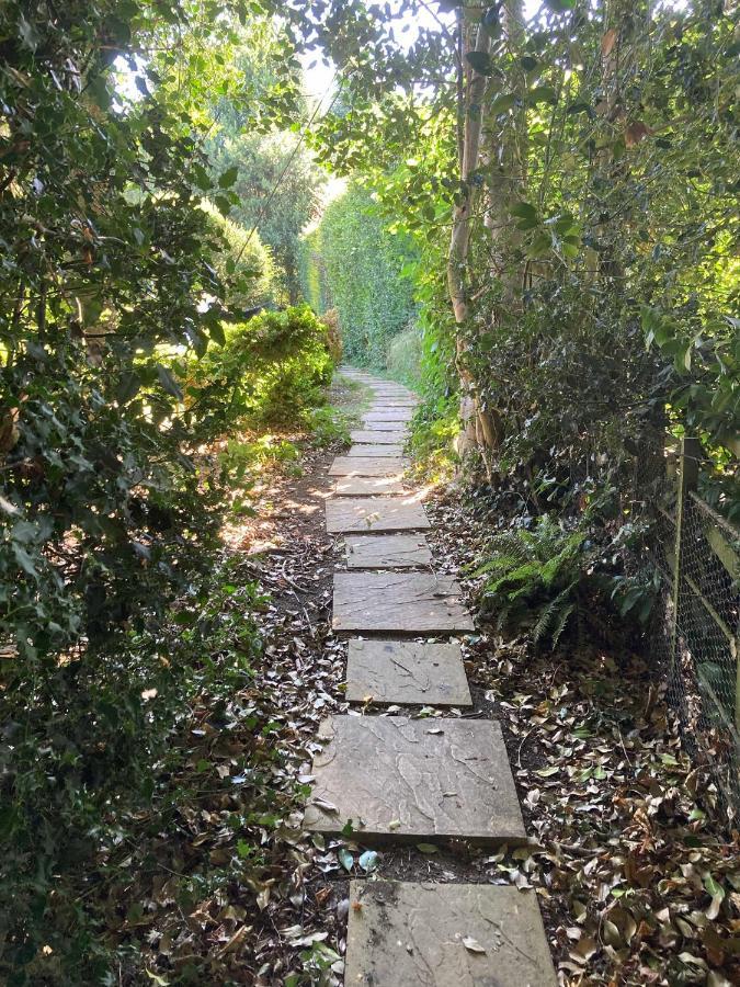 Unique Artists With A Private Garden. *