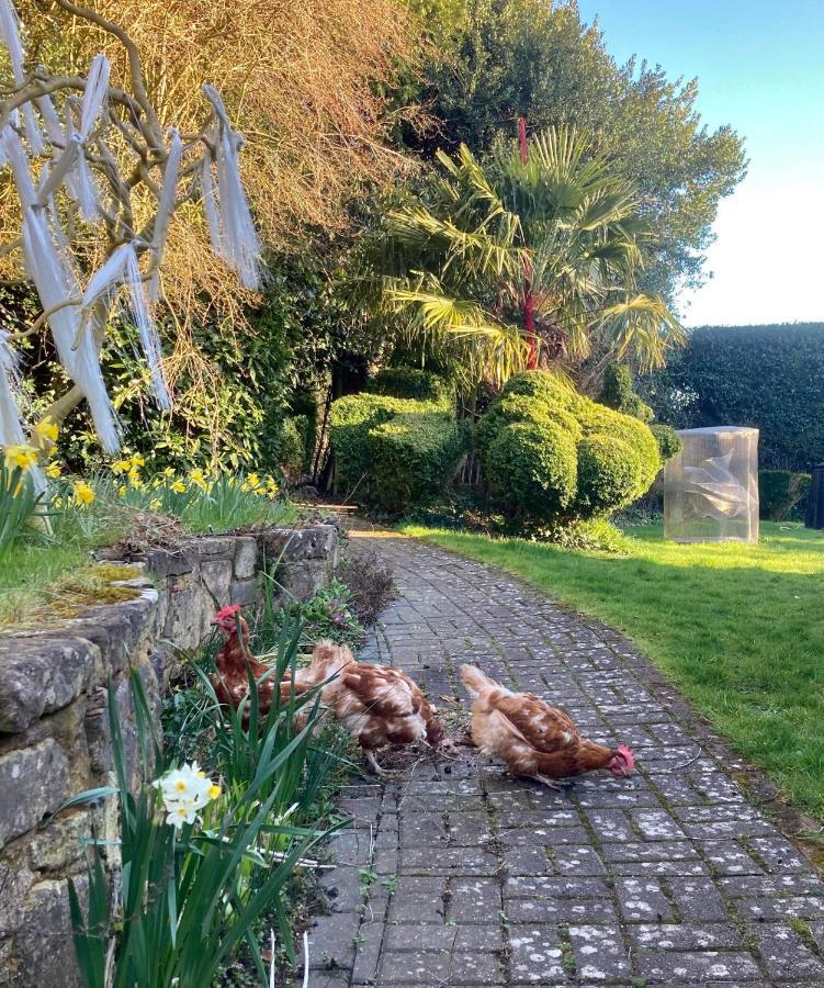 Unique Artists With A Private Garden. Pewsey