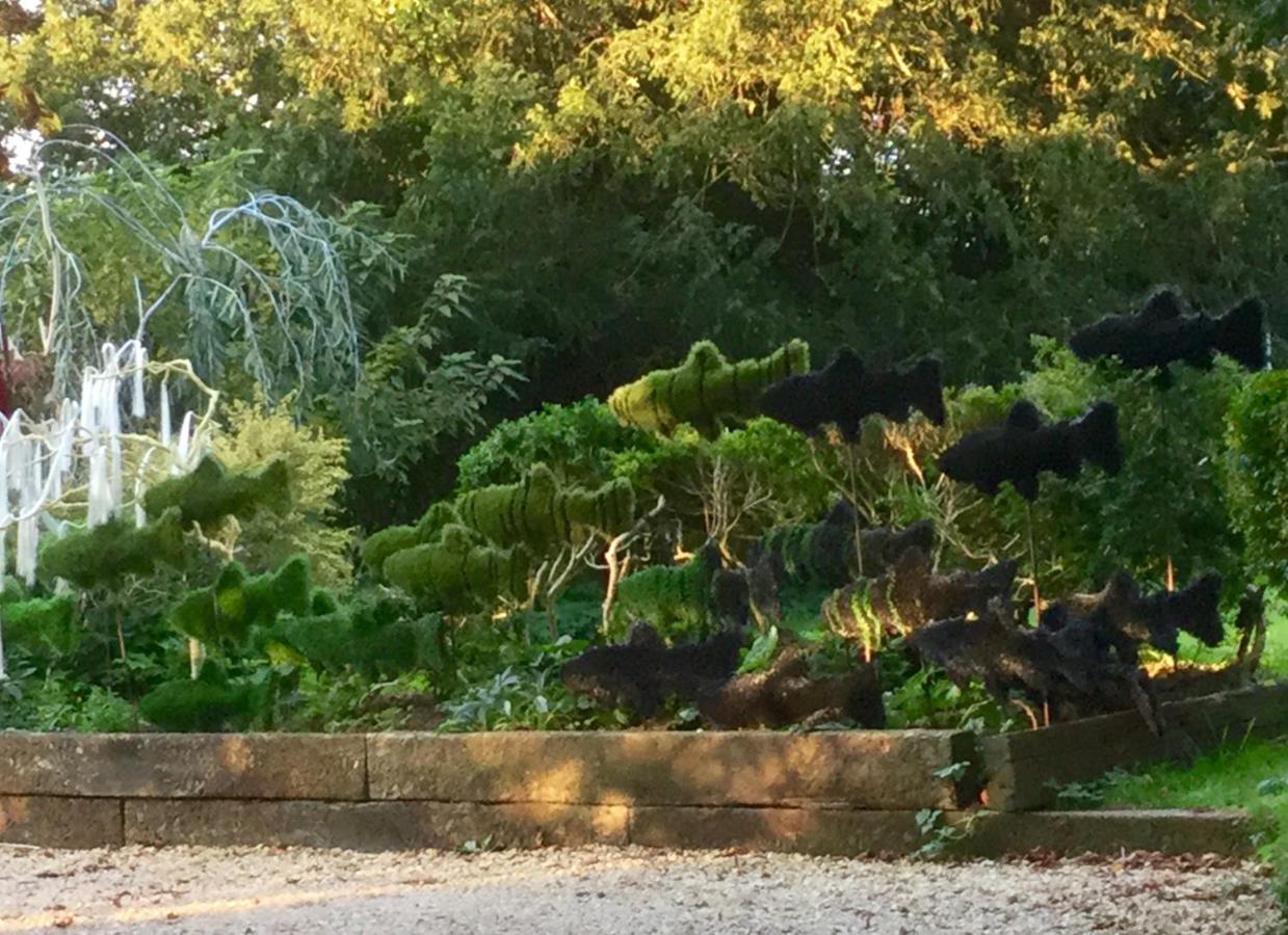 Unique Artists With A Private Garden.